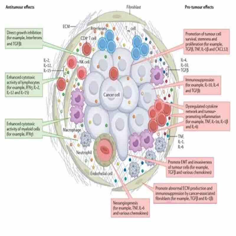 kits de test rapide de cytokines de technologie médicale avancée