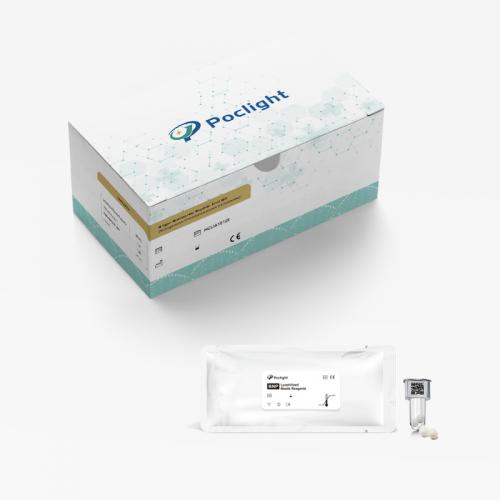 Human B-Type Natriuretic Peptide (BNP) CLIA Kit